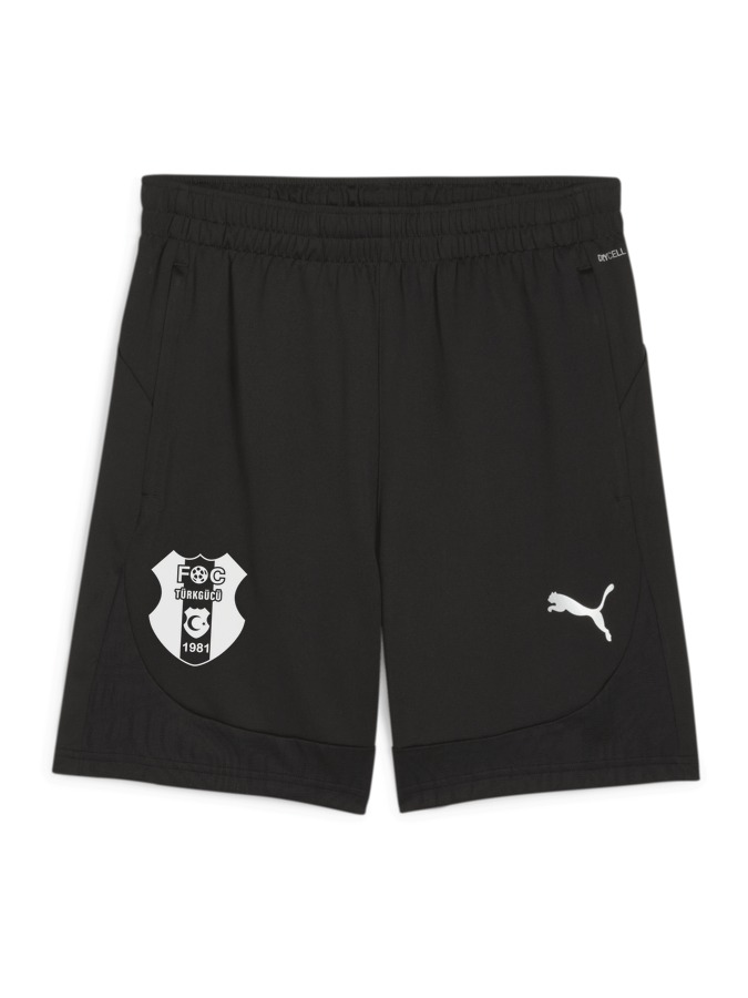 PUMA teamFINAL Training Shorts