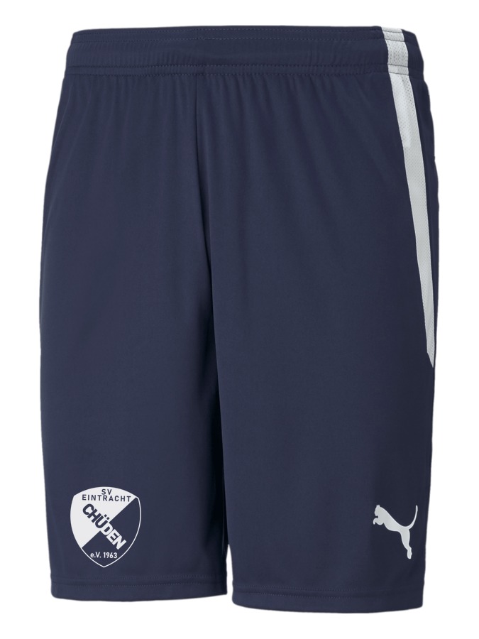PUMA teamLIGA Shorts