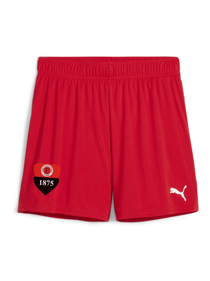 PUMA teamGOAL Handballshorts Damen