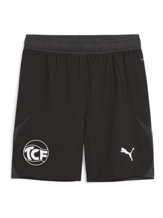 PUMA teamFINAL Shorts