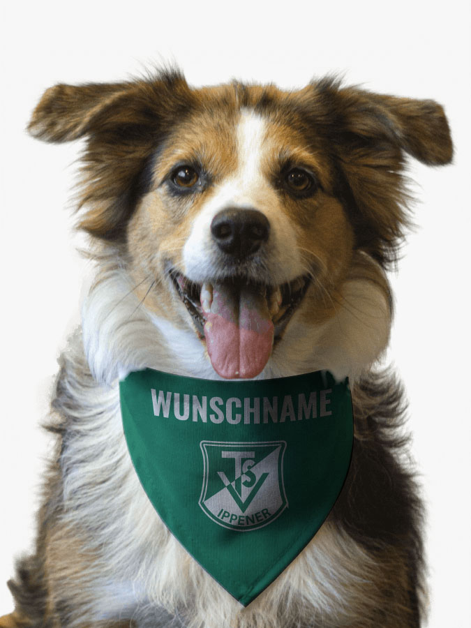 Hundehalstuch