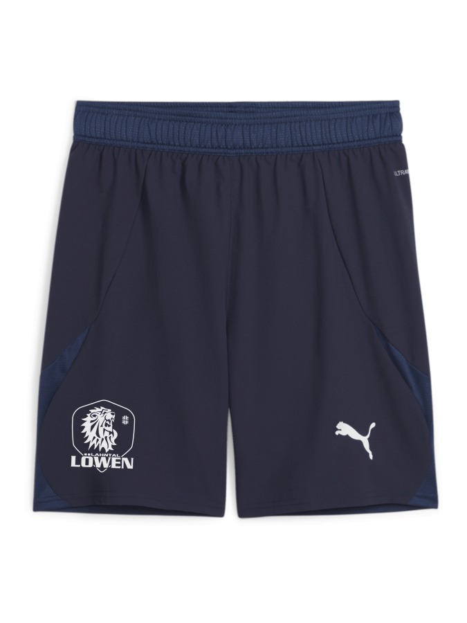 PUMA teamFINAL Shorts