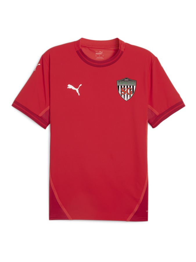 PUMA teamFINAL Trikot