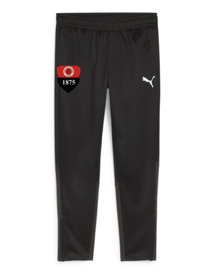 PUMA teamGOAL Trainingshose