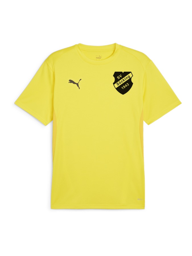 PUMA teamGOAL Trikot