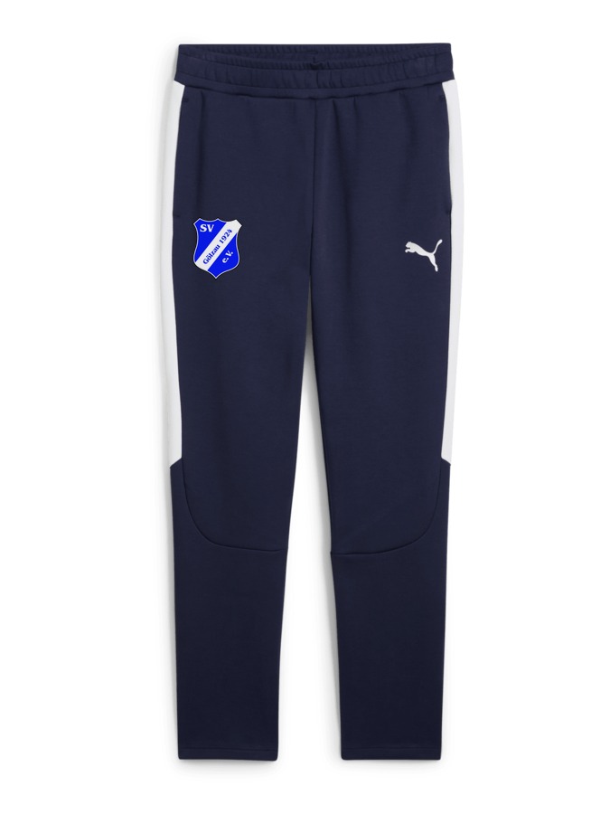 PUMA teamEVOSTRIPE Hose