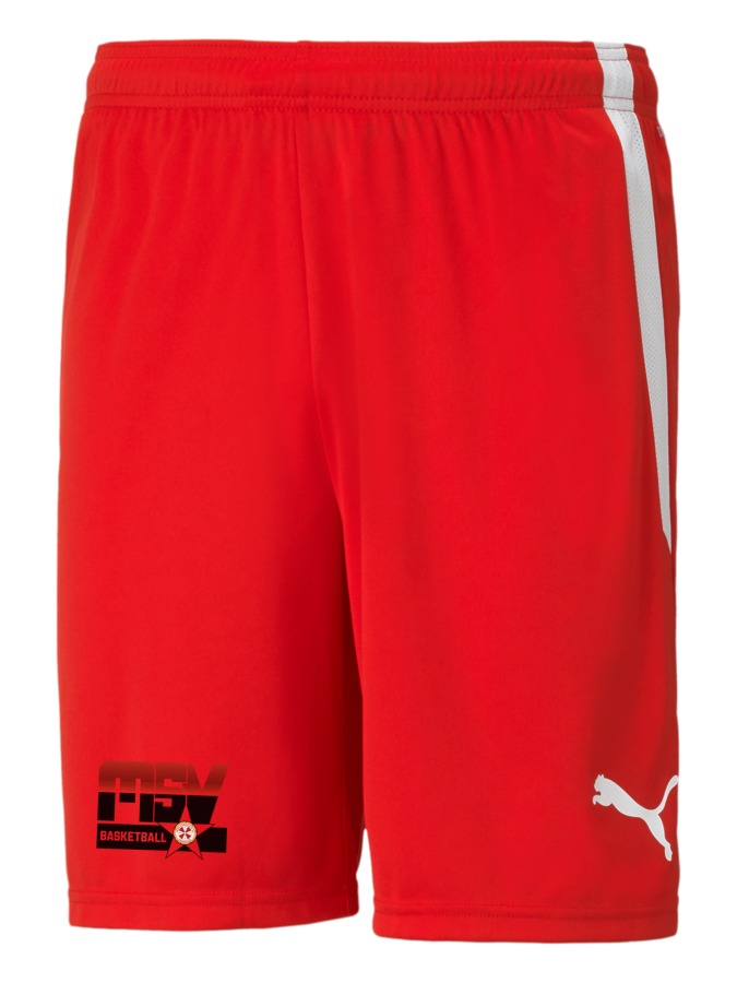 PUMA teamLIGA Shorts