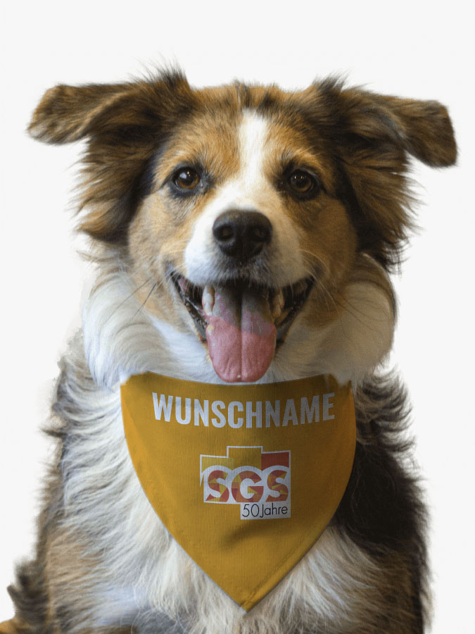 Hundehalstuch