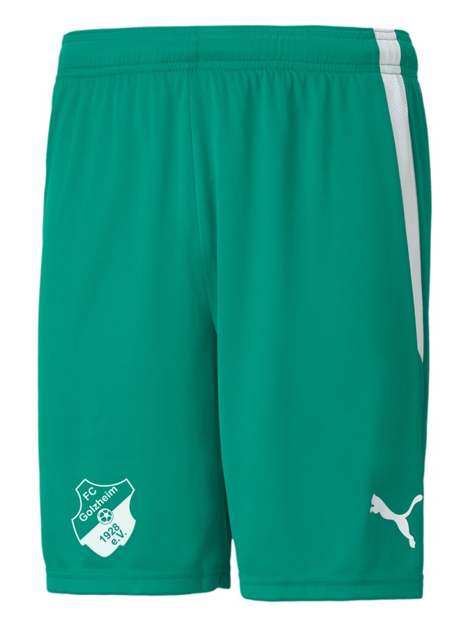 PUMA teamLIGA Shorts