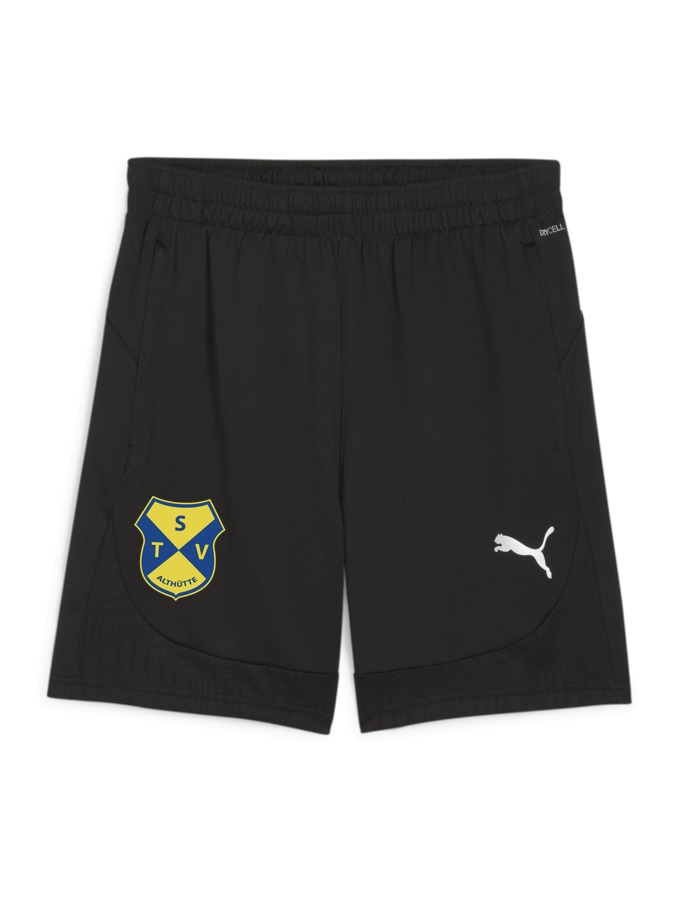 PUMA teamFINAL Training Shorts