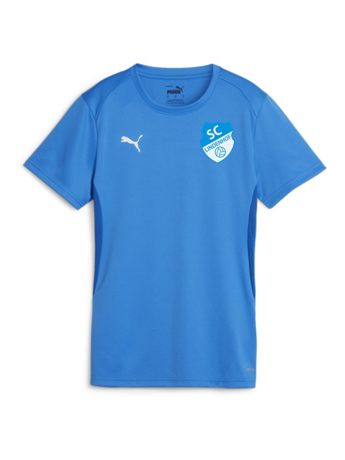PUMA teamGOAL Trikot Damen