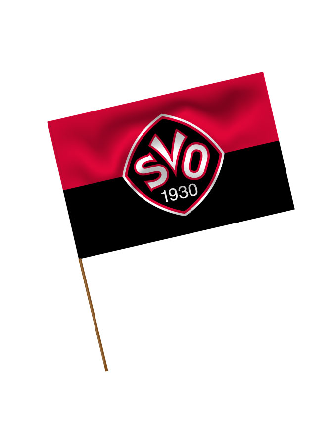 Stadionfahne Logo