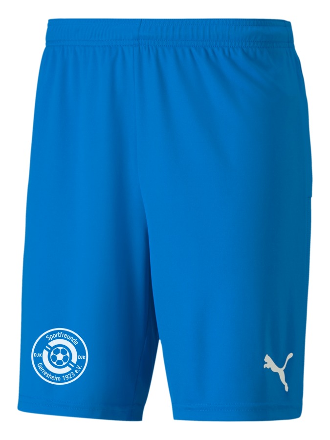 PUMA teamGOAL 23 Knit Shorts