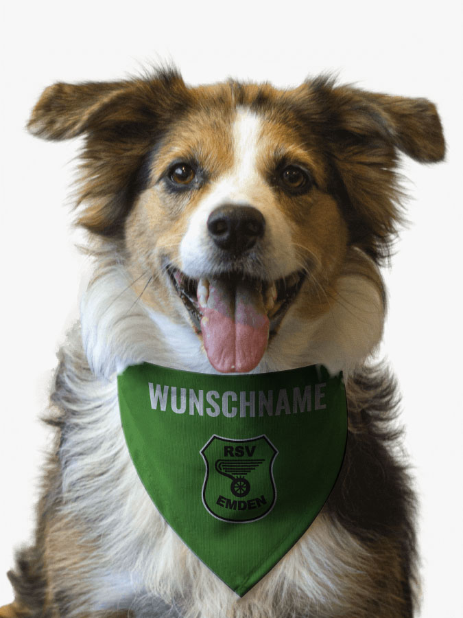 Hundehalstuch