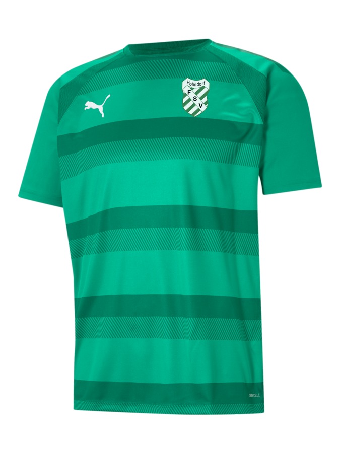 PUMA teamVISION Trikot