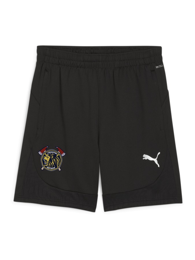 PUMA teamFINAL Training Shorts
