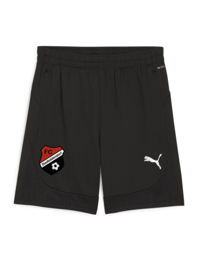 PUMA teamFINAL Training Shorts