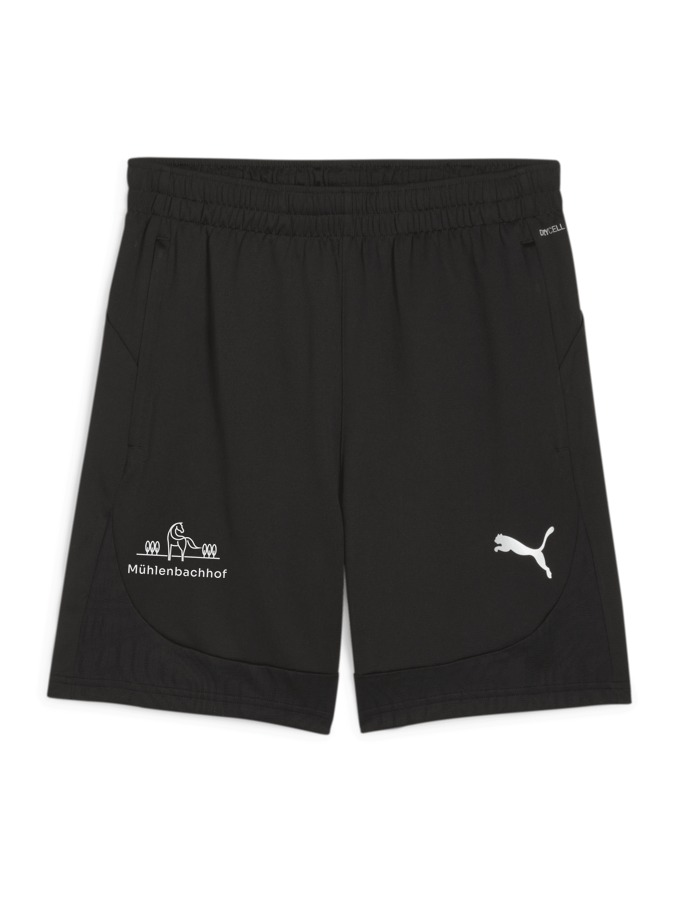 PUMA teamFINAL Training Shorts