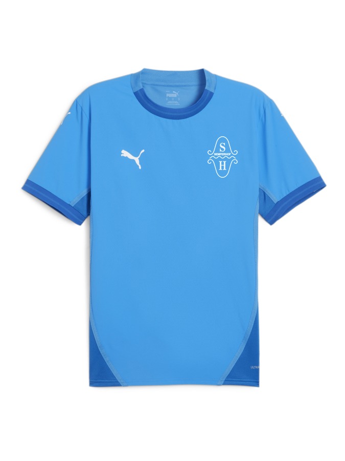 PUMA teamFINAL Trikot
