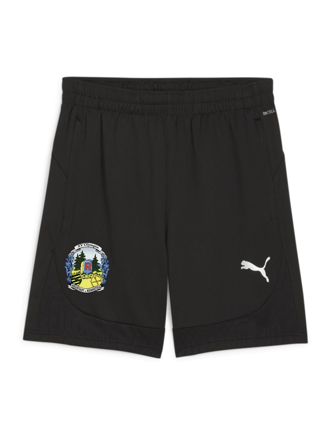 PUMA teamFINAL Training Shorts