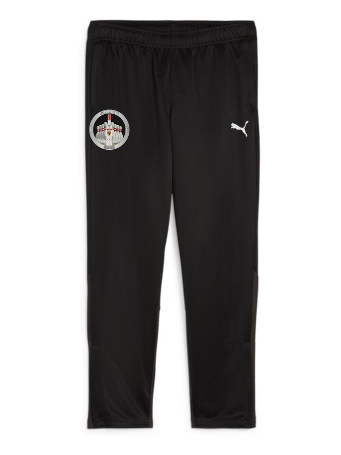 PUMA teamGOAL Trainingshose Damen
