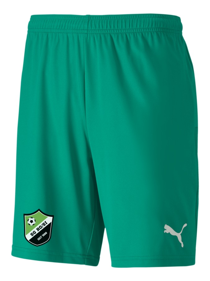 PUMA teamGOAL 23 Knit Shorts