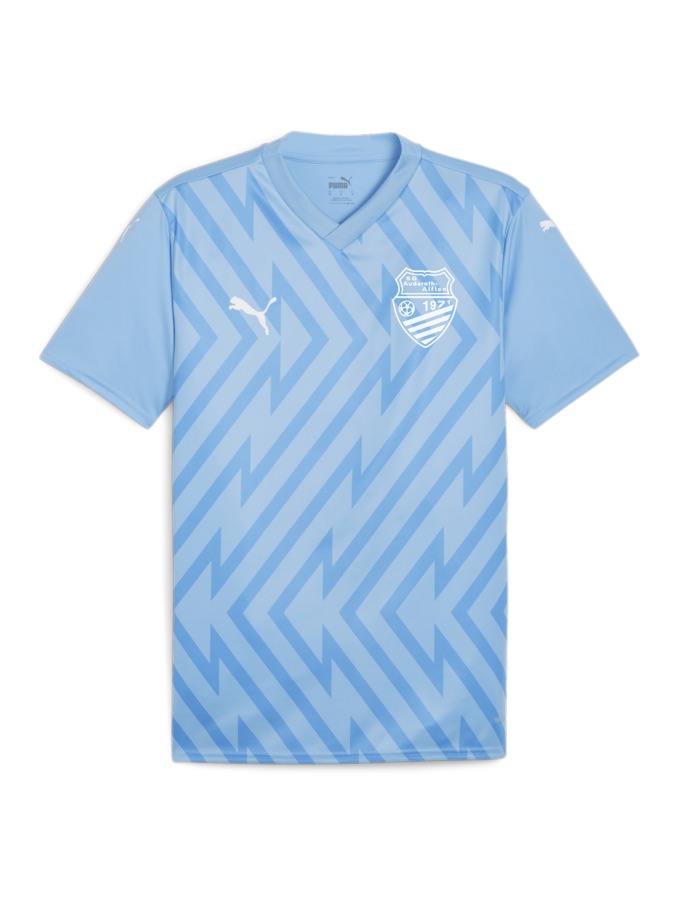 PUMA teamGLORY Trikot