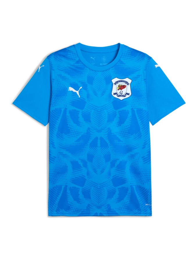 PUMA teamULTIMATE Trikot