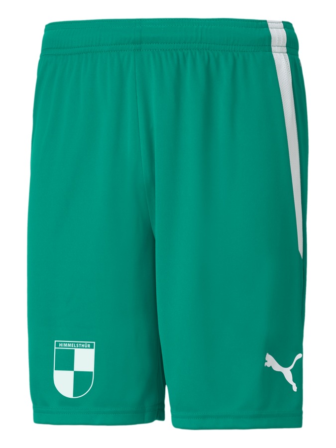 PUMA teamLIGA Shorts