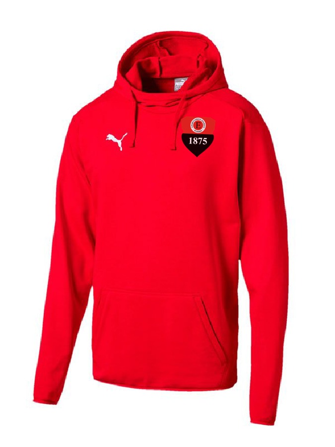 Puma Liga Casuals Hoody