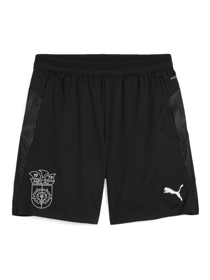 PUMA teamCUP Training Shorts