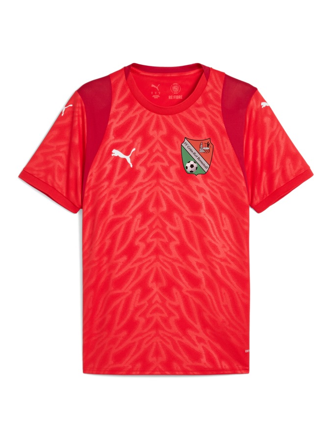 PUMA teamCUP Trikot