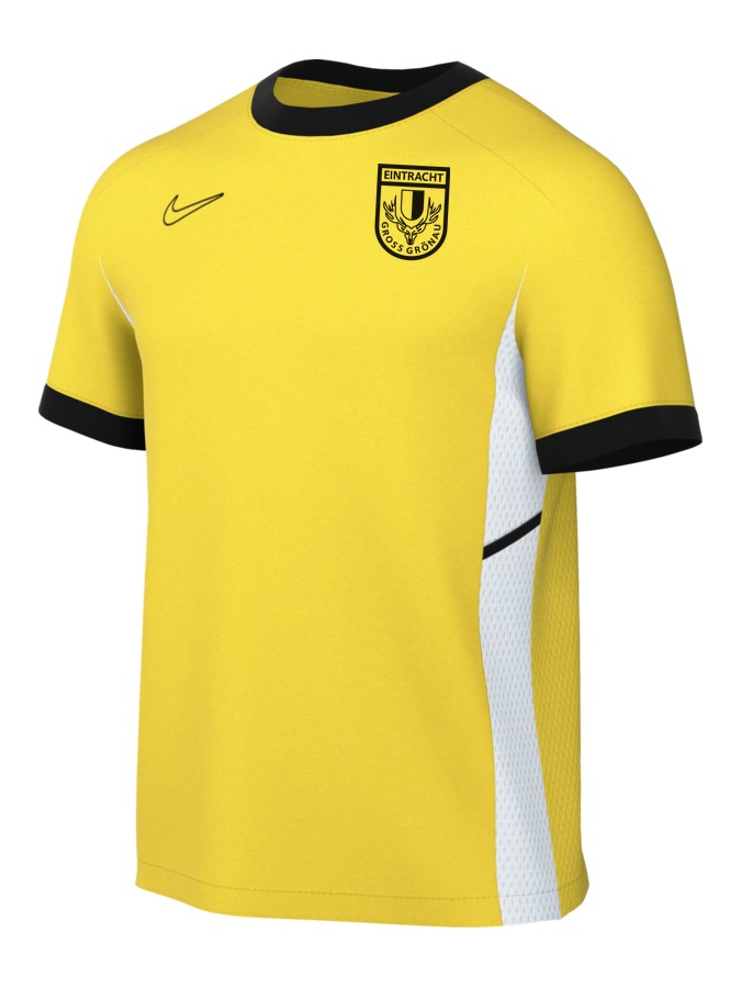 Nike Academy 25 Training T-Shirt
