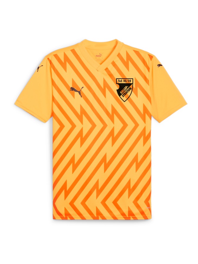 PUMA teamGLORY Trikot
