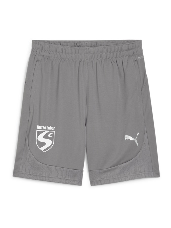 PUMA teamFINAL Training Shorts