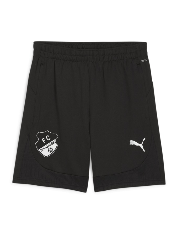 PUMA teamFINAL Training Shorts