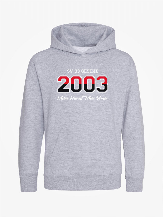 Hoodie Established Kids