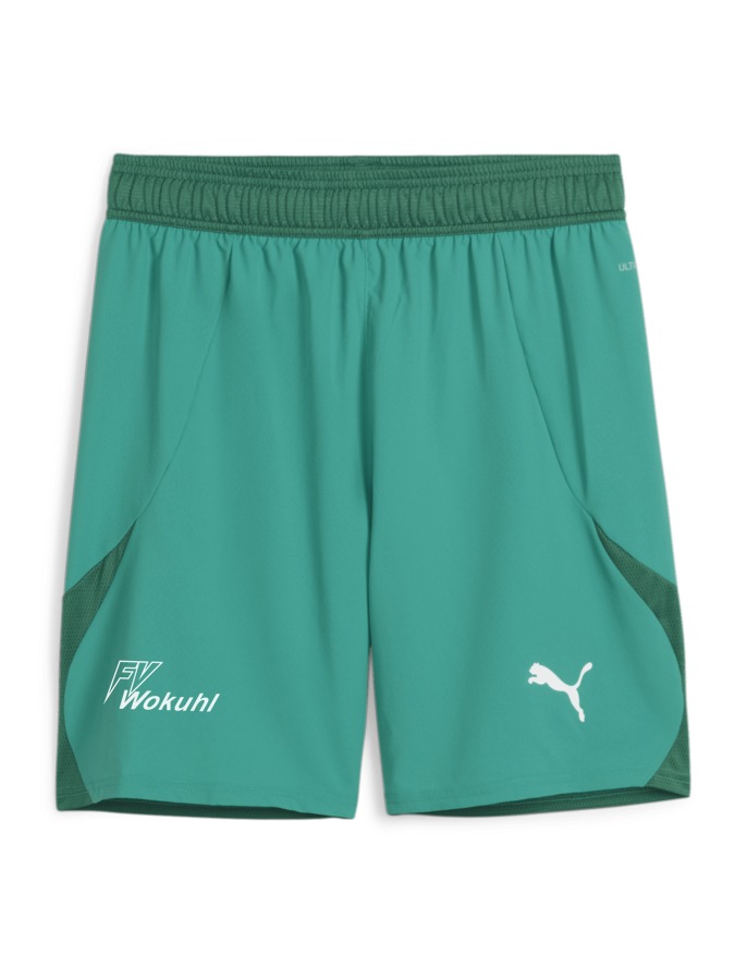 PUMA teamFINAL Shorts