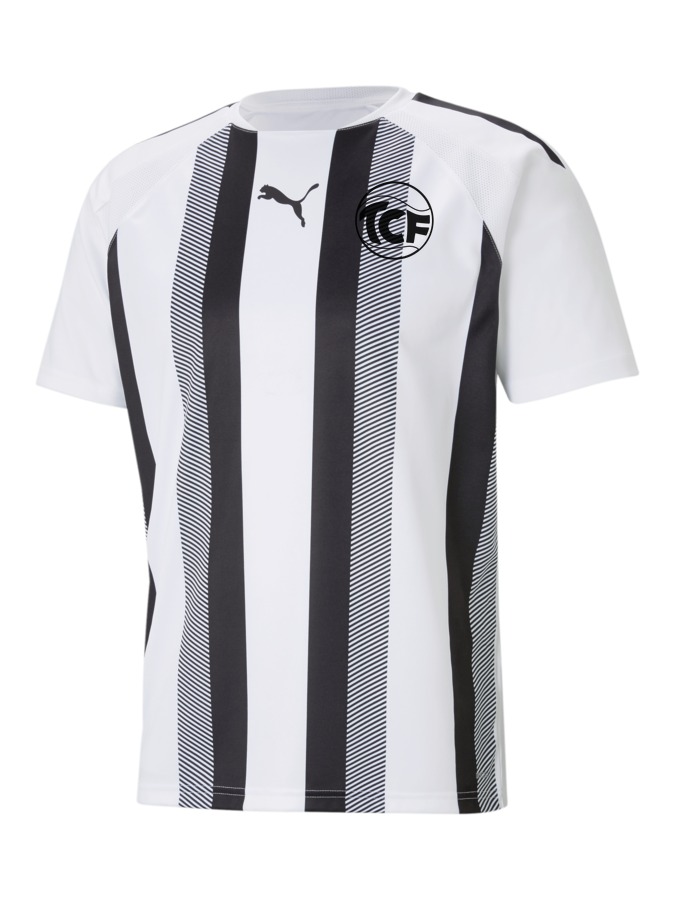 PUMA teamLIGA Striped Trikot