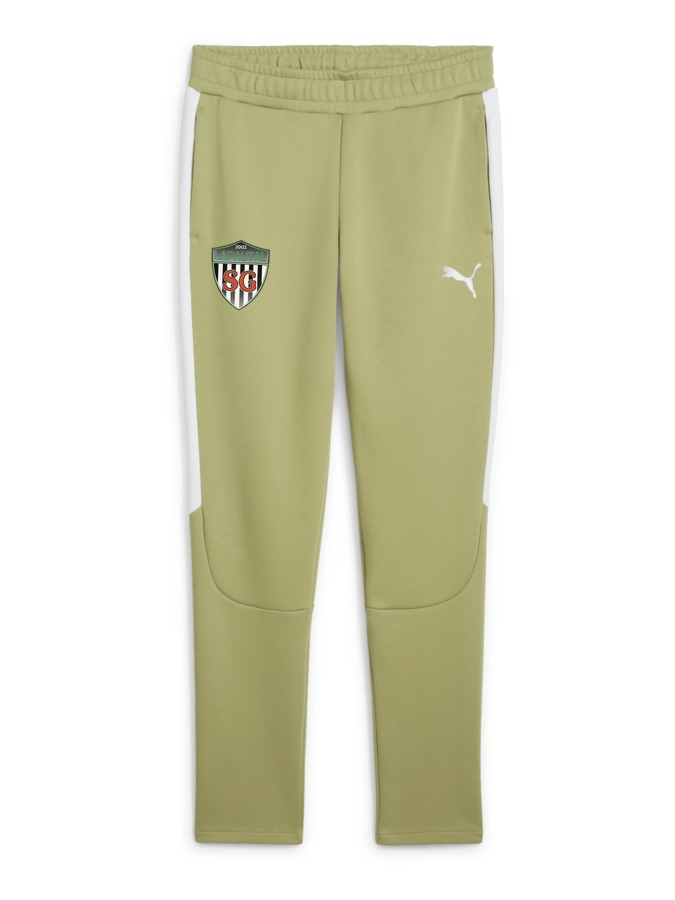 PUMA teamEVOSTRIPE Hose