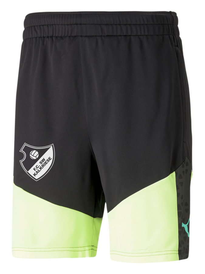 PUMA individualCUP Training Shorts