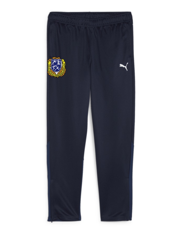 PUMA teamGOAL Trainingshose Damen