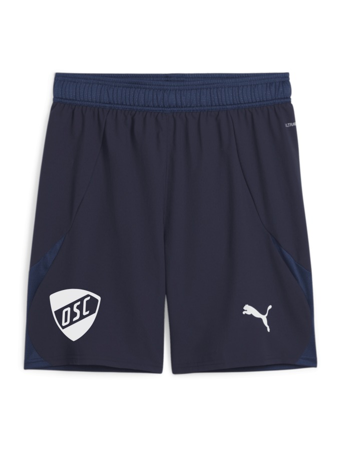 PUMA teamFINAL Shorts