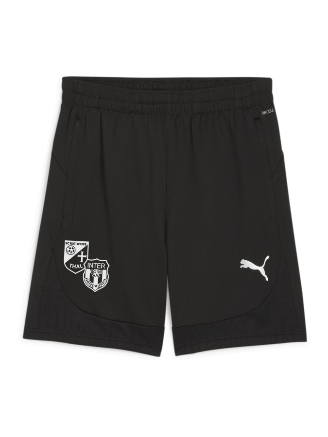 PUMA teamFINAL Training Shorts