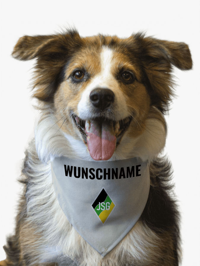 Hundehalstuch