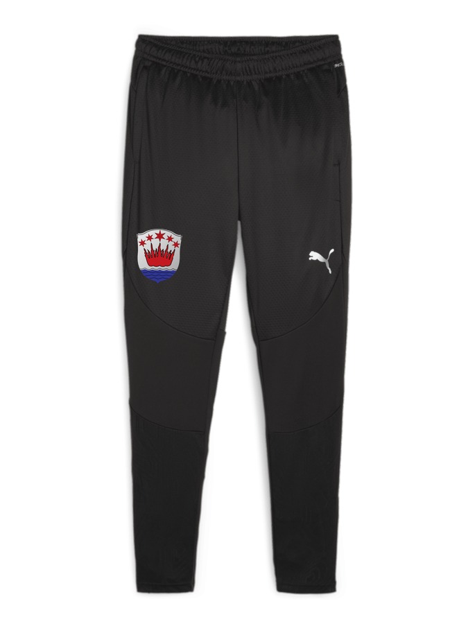 PUMA teamFINAL Trainingshose