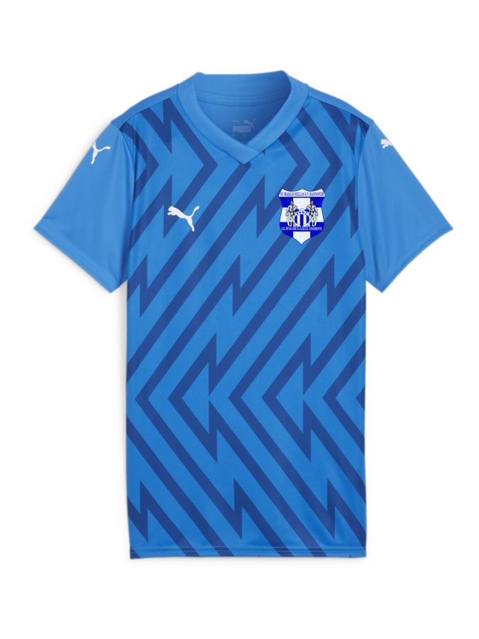PUMA teamGLORY Trikot Damen