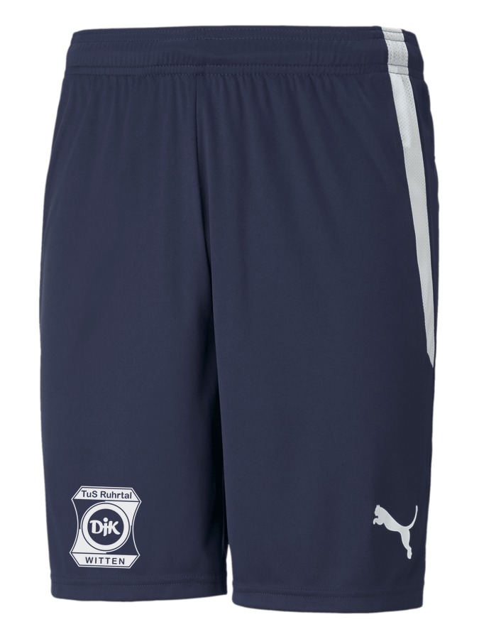 PUMA teamLIGA Shorts