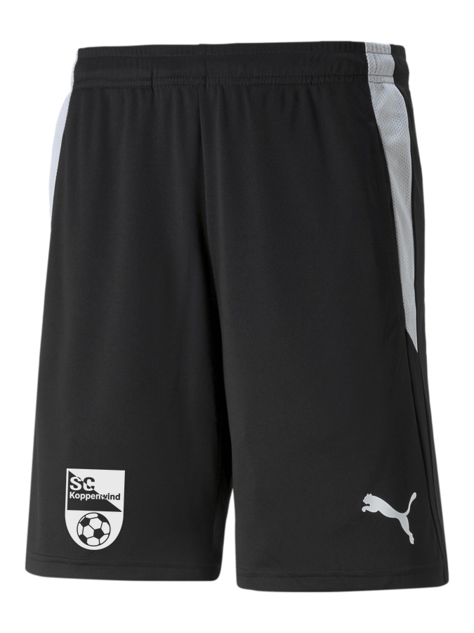 PUMA teamLIGA Referee Shorts