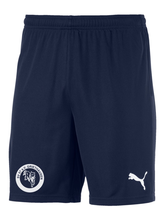 PUMA teamGOAL 23 Knit Shorts